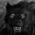 :icondarksomewolf: