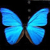Darksongknight :icondarksongknight: