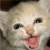:icondarksoul4311: