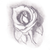 :icondarksparksapparatus: