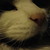 :icondarkspookers: