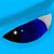 darkspyro96 :icondarkspyro96: