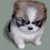 :icondarksqueee: