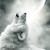 :icondarkstalkerharpy: