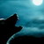 :icondarkstar121: