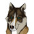 :icondarkstarr44: