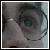 :icondarkstartiff: