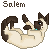 :icondarkstormbreak: