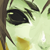 :icondarksuey: