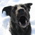 :icondarksun0710:
