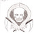 :icondarksyfe: