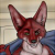 :icondarktechnician: