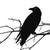 :icondarktemplarr: