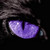 :icondarktiger87: