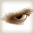 :icondarktracer: