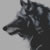 :icondarkvvolf: