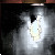 :icondarkwerewolfkingknig: