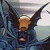 :icondarkwing42: