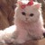 :icondarkwinxgirl: