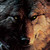 :icondarkwolf10011:
