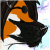 :icondarkwolf16: