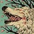 :icondarkwolf2: