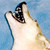 :icondarkwolfglow65: