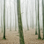 :icondarkxdreams: