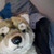 :icondarkxsignxyukie9: