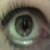 :icondarla-andrea: