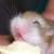 :icondarlenefaust: