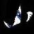 :iconDarn23: