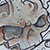 :icondarnelious: