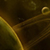 :icondarokh: