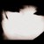 :icondarravin: