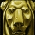 :icondarren-zeraus: