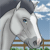 :icondarrowby: