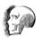 :icondart-native: