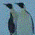 :icondartanus: