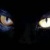 :icondartdebrat: