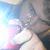 :icondarth-frank: