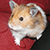 :icondarth-monkeo: