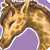 :icondarthakasha: