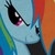 :icondarthhorus: