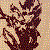 :icondarthmaulnda: