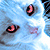 :icondarunia1234: