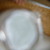 :icondarwishchaussette30: