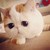 :icondarya95: