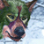:icondarzie: