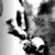:icondas-grau: